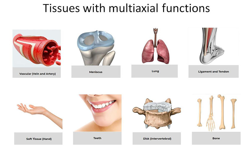 1663058447895990.jpg 20190728233339_413.jpg